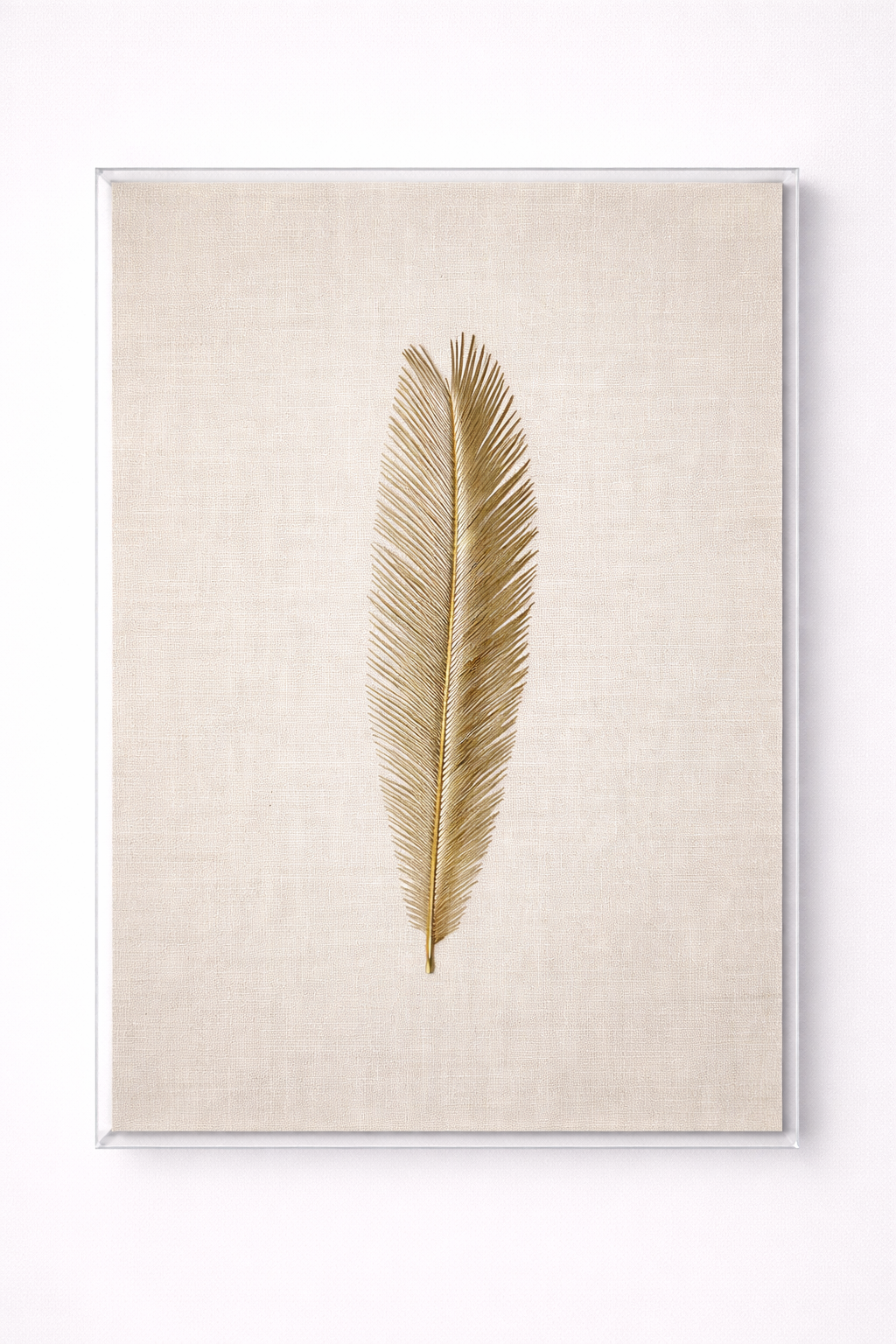 Mulholland Palm_GoldSeries3