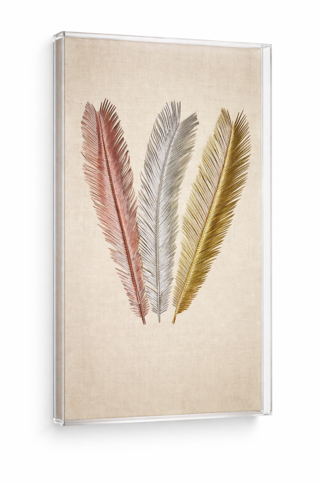 Mulholland PalmSeries1